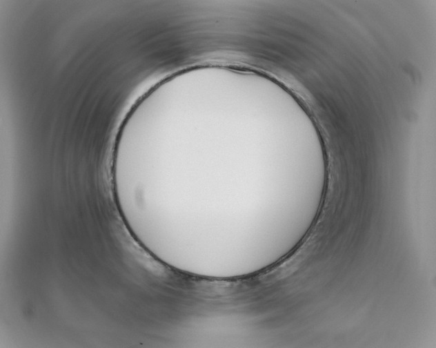 X0000111431248200908031324