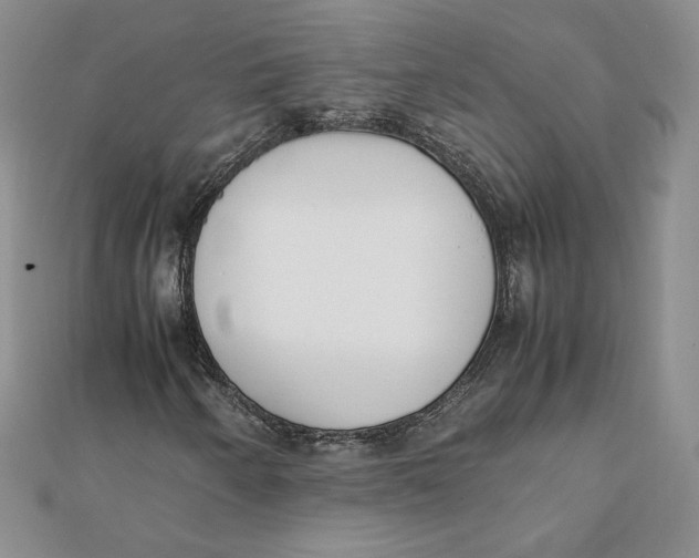 X0000111431250200908031324