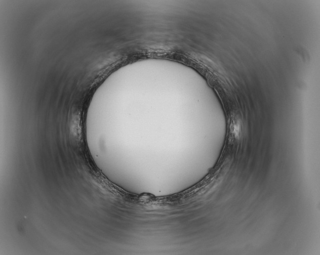 X0000111431252200908031324