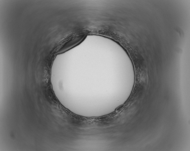 X0000111431253200908031324