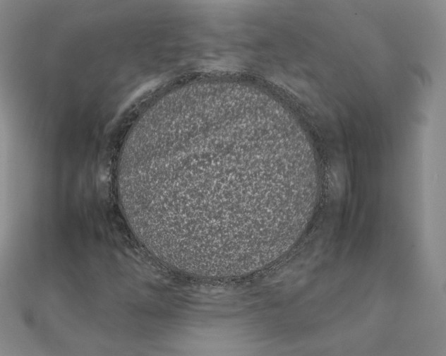 X0000111431254200908031324