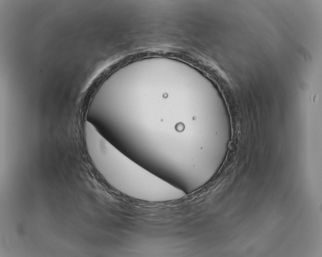 X0000111431256200908031324