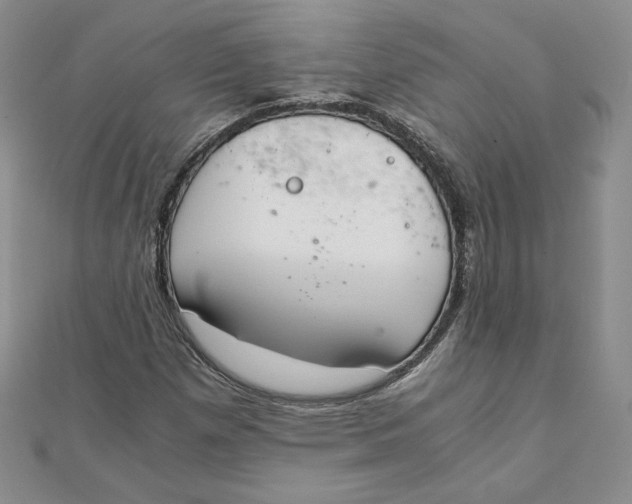 X0000111431257200908031324