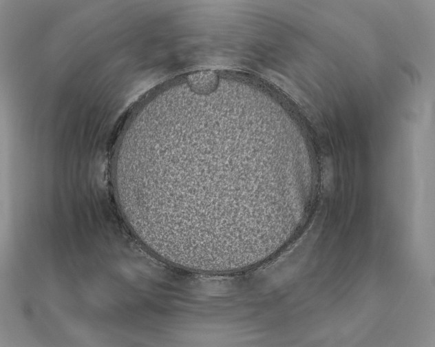 X0000111431258200908031324