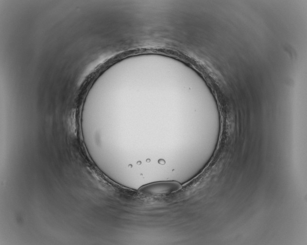 X0000111431262200908031324