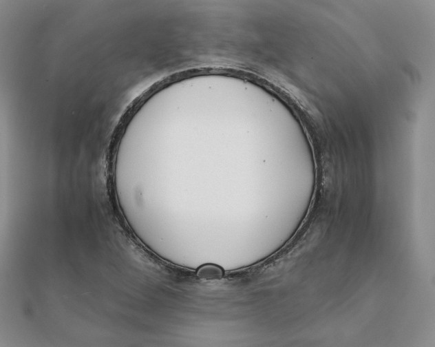 X0000111431264200908031324