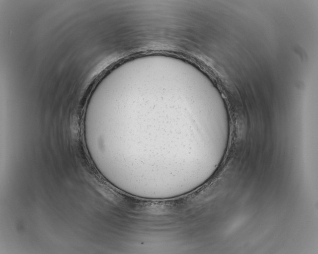 X0000111431266200908031324