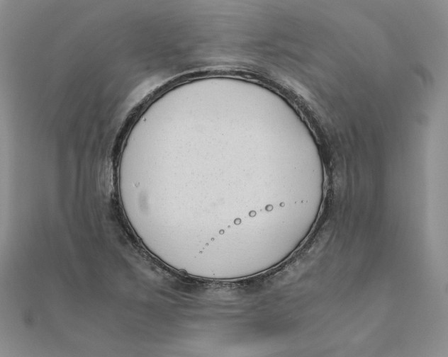 X0000111431267200908031324