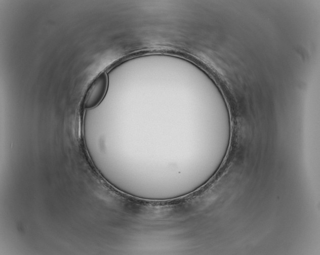 X0000111431269200908031324