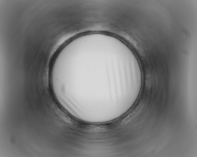 X0000111431270200908031324