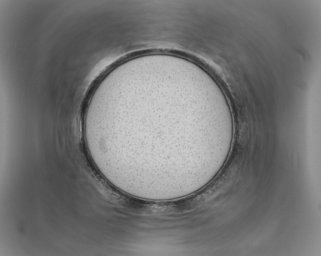 X0000111431271200908031324