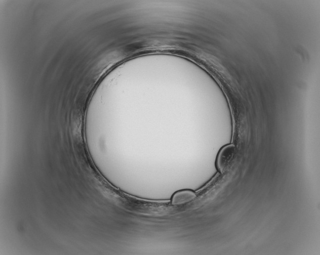 X0000111431273200908031324