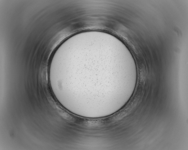 X0000111431274200908031324