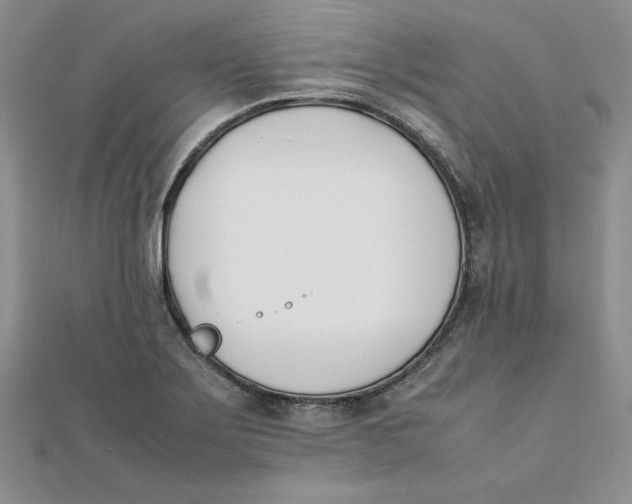 X0000111431275200908031323