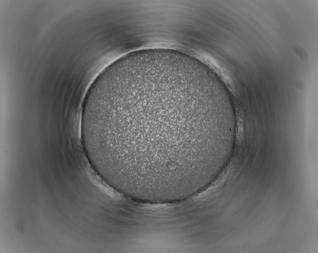 X0000111431276200908031323