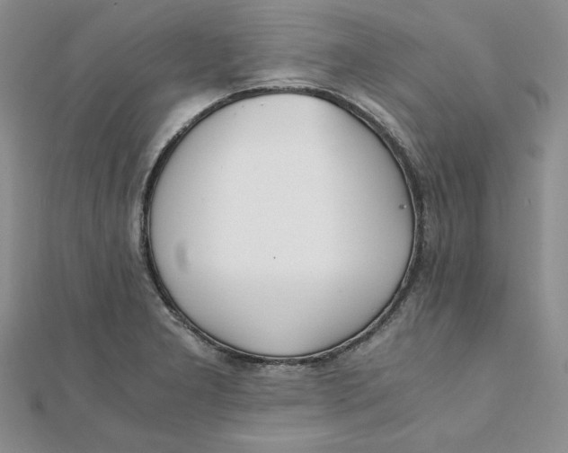 X0000111431277200908031323