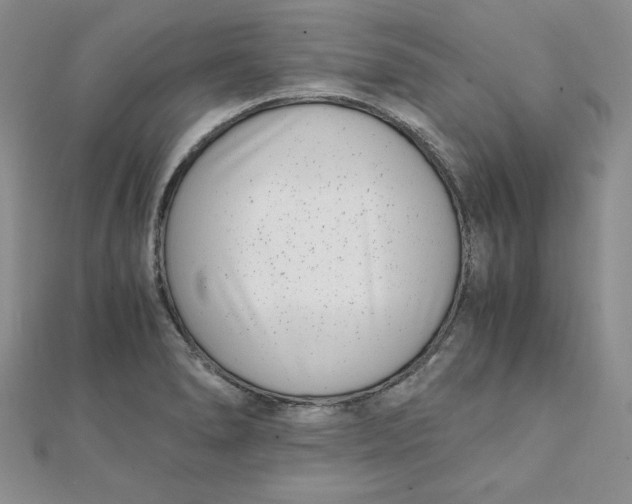 X0000111431278200908031323