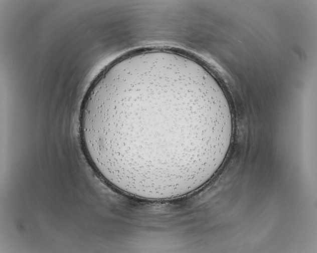 X0000111431279200908031323