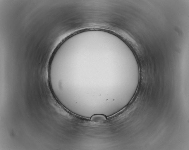 X0000111431280200908031323