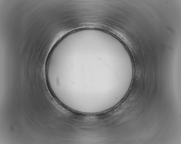 X0000111431283200908031323