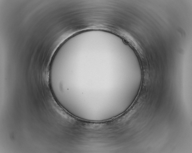 X0000111431284200908031323