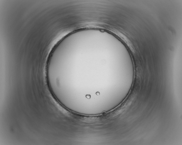 X0000111431285200908031323