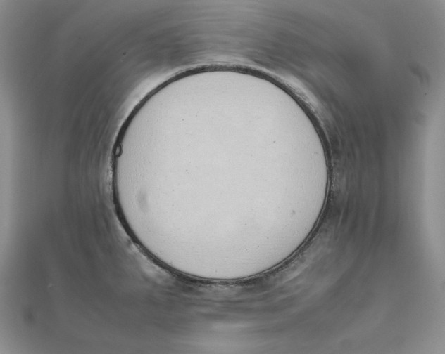 X0000111431287200908031323