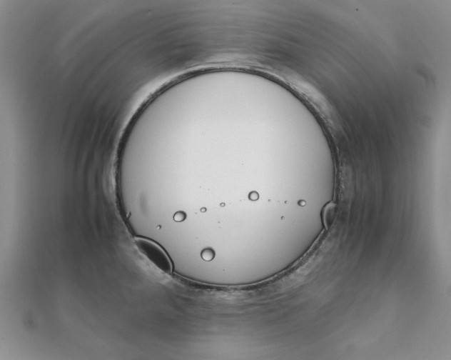 X0000111431288200908031323