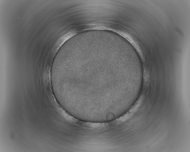 X0000111431289200908031323