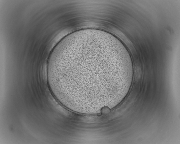 X0000111431290200908031323