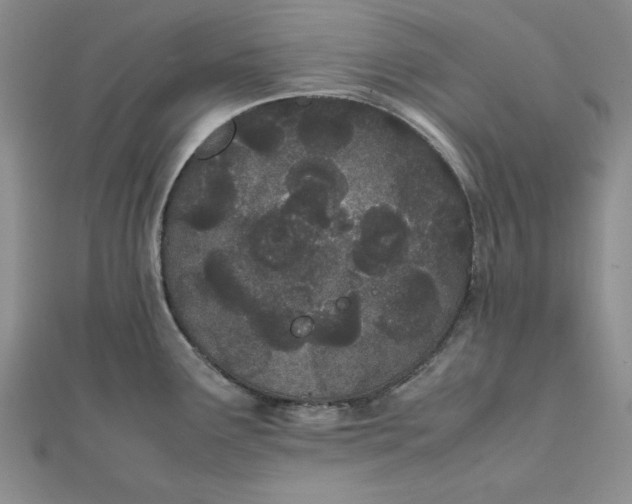 X0000111431291200908031323