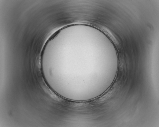 X0000111431292200908031323