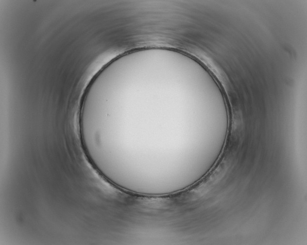 X0000111431293200908031323