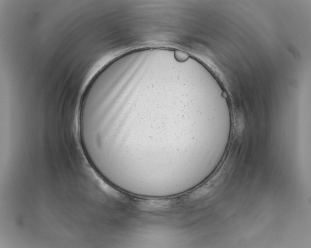 X0000111431294200908031323