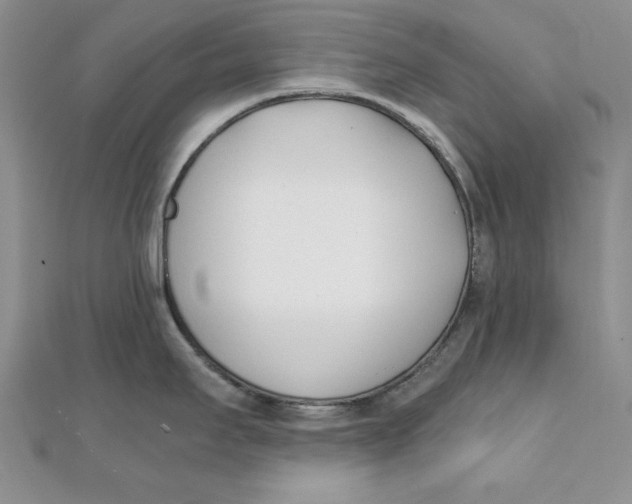 X0000111431295200908031323