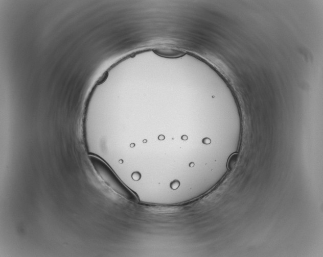 X0000111431296200908031323