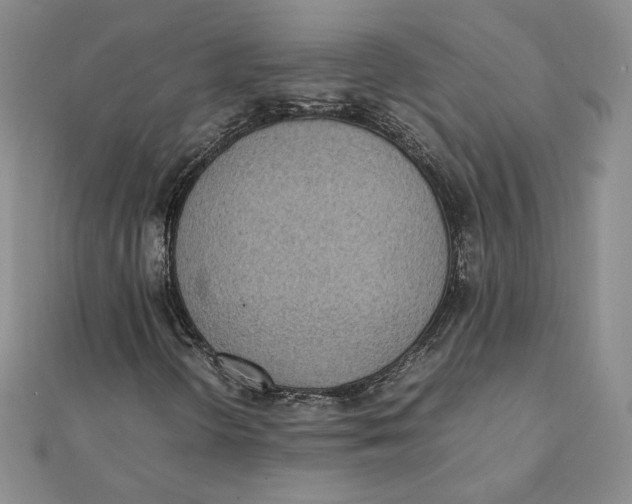 X0000111431298200908031323