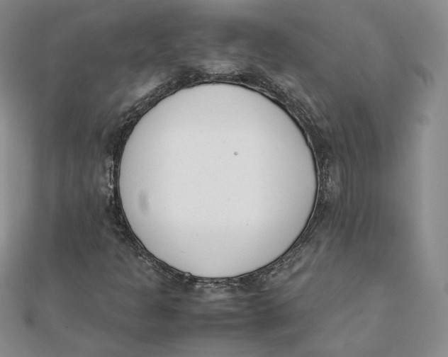 X0000111431301200908031323