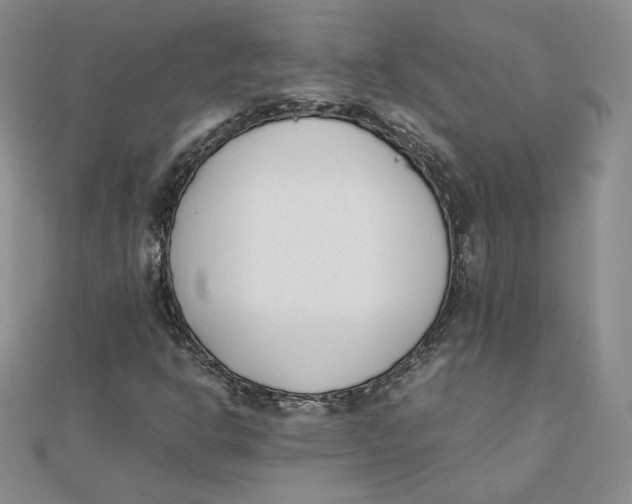 X0000111431302200908031323