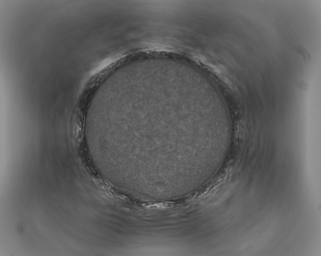 X0000111431303200908031323