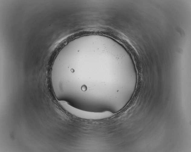 X0000111431304200908031323