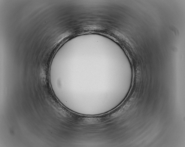 X0000111431305200908031323