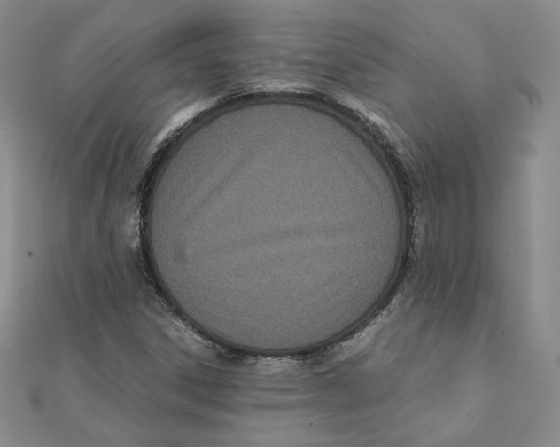 X0000111431306200908031323