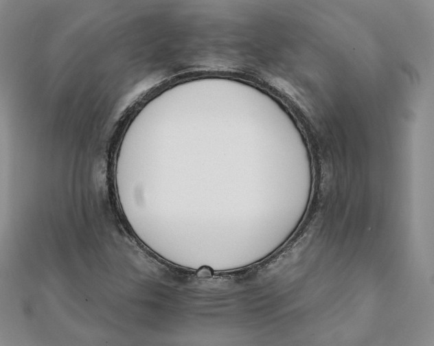 X0000111431307200908031323