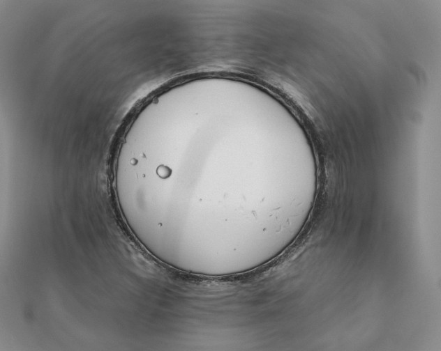 X0000111431308200908031323