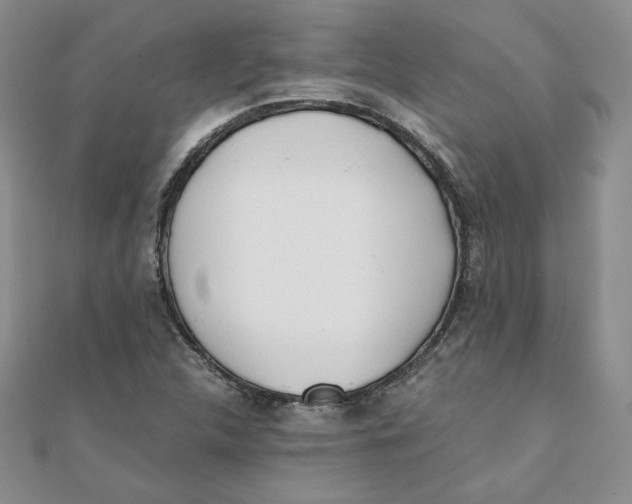 X0000111431312200908031323