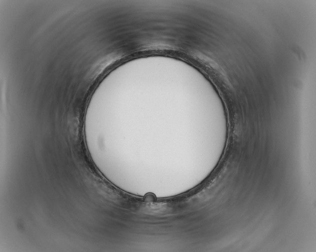 X0000111431313200908031323