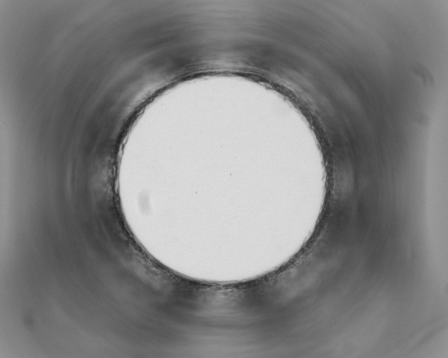 X0000111431314200908031323