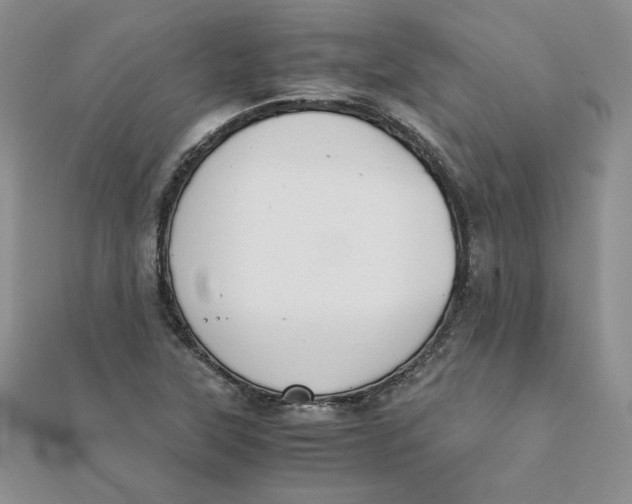 X0000111431315200908031323