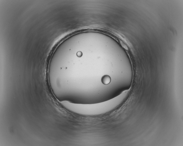 X0000111431316200908031323